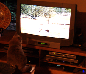 Screenshot 2024-08-04 155650.png Screenshot 2024-08-04 155650.png