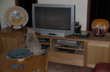 Screenshot 2024-08-04 155719.png Screenshot 2024-08-04 155719.png