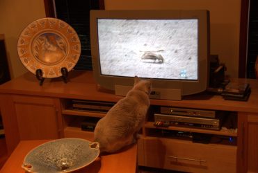 Screenshot 2024-08-04 155805.png Screenshot 2024-08-04 155805.png