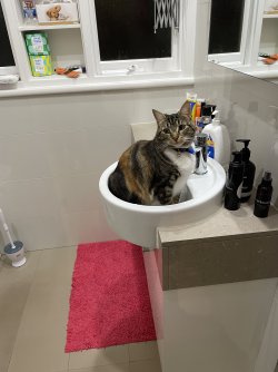 IMG_1434 2.JPG IMG_1434 2.JPG