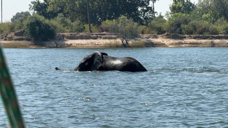 IMG_1621.jpeg IMG_1621.jpeg