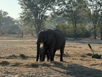 IMG_1689.jpeg IMG_1689.jpeg