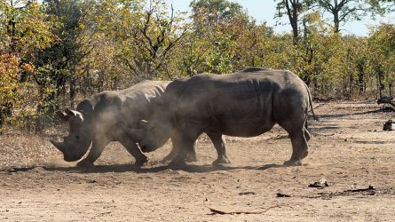 IMG_1703.jpeg IMG_1703.jpeg