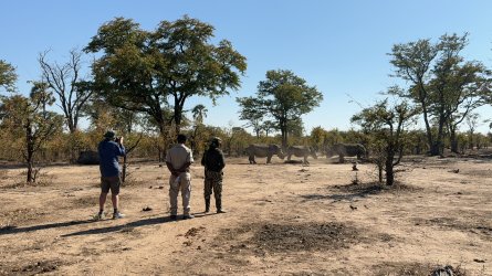 IMG_1709.jpeg IMG_1709.jpeg