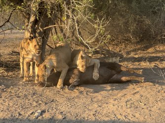 IMG_1898.jpeg IMG_1898.jpeg