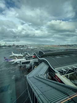 IMG_20240730_093259195_HDR.jpg IMG_20240730_093259195_HDR.jpg