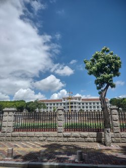 IMG_20240731_104050594_HDR.jpg IMG_20240731_104050594_HDR.jpg