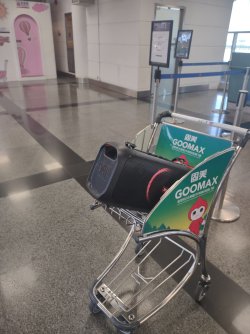 IMG_20240802_124025416.jpg IMG_20240802_124025416.jpg