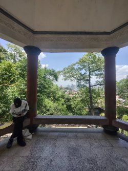 IMG_20240801_120600011_HDR.jpg IMG_20240801_120600011_HDR.jpg