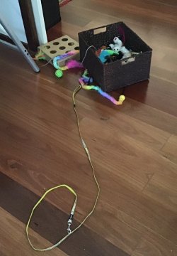 IMG_0559(1).JPEG IMG_0559(1).JPEG