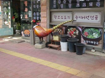 jpeg-optimizer_IMG_0111(1).JPG jpeg-optimizer_IMG_0111(1).JPG
