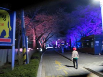 jpeg-optimizer_IMG_0140.JPG jpeg-optimizer_IMG_0140.JPG
