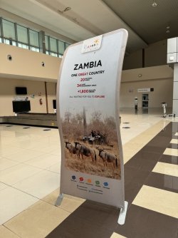 IMG_1446.JPG IMG_1446.JPG