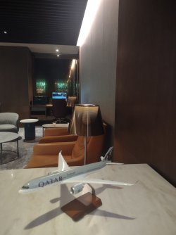 IMG_20240813_163517704.jpg IMG_20240813_163517704.jpg