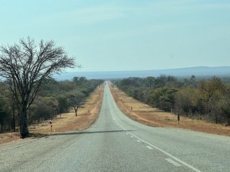 IMG_3267.jpeg IMG_3267.jpeg