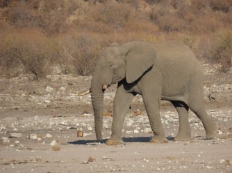 IMG_6136.jpeg IMG_6136.jpeg