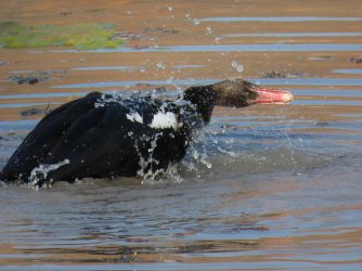 IMG_6142.jpeg IMG_6142.jpeg