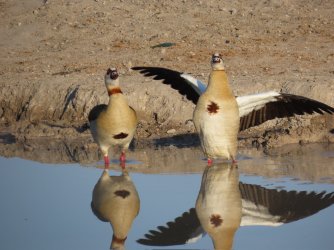 IMG_6157.jpeg IMG_6157.jpeg