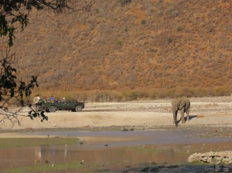 IMG_6139.jpeg IMG_6139.jpeg