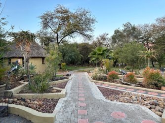 IMG_3286.jpeg IMG_3286.jpeg