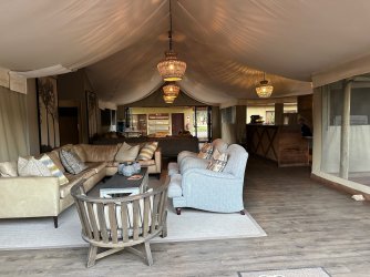 IMG_3285.jpeg IMG_3285.jpeg