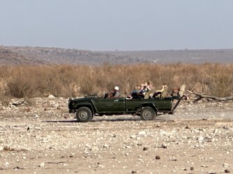 IMG_3282.jpeg IMG_3282.jpeg