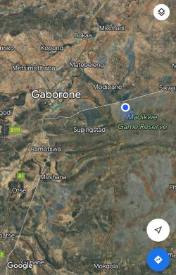 IMG_3294.jpeg IMG_3294.jpeg