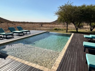 IMG_3308.jpeg IMG_3308.jpeg