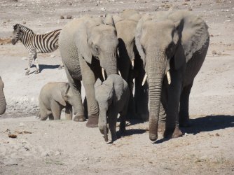 IMG_6263.jpeg IMG_6263.jpeg