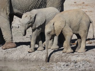 IMG_6275.jpeg IMG_6275.jpeg