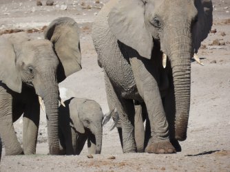 IMG_6262.jpeg IMG_6262.jpeg