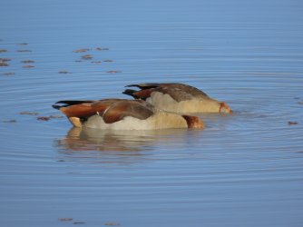 IMG_6278.jpeg IMG_6278.jpeg