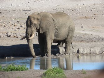 IMG_6286.jpeg IMG_6286.jpeg