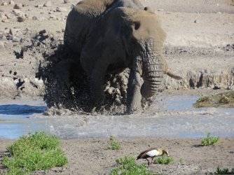 IMG_6298.jpeg IMG_6298.jpeg