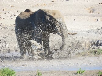 IMG_6300.jpeg IMG_6300.jpeg