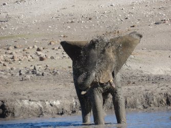 IMG_6301.jpeg IMG_6301.jpeg