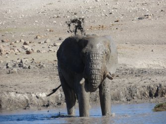 IMG_6302.jpeg IMG_6302.jpeg