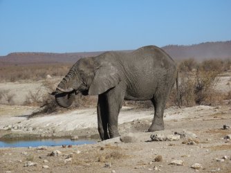 IMG_6308.jpeg IMG_6308.jpeg