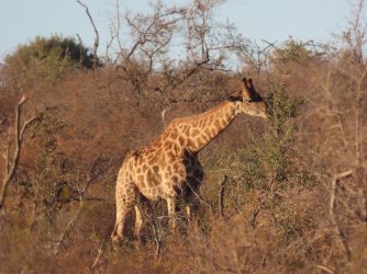 IMG_6357.jpeg IMG_6357.jpeg