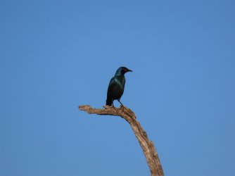 IMG_6341.jpeg IMG_6341.jpeg