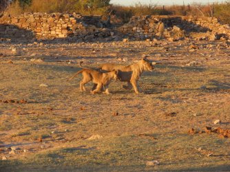 IMG_6367.jpeg IMG_6367.jpeg