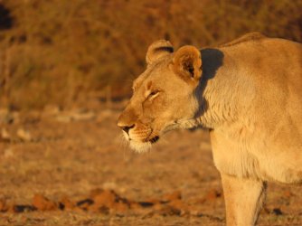 IMG_6363.jpeg IMG_6363.jpeg