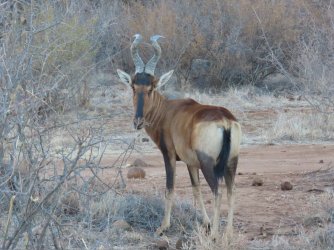 IMG_6396.jpeg IMG_6396.jpeg