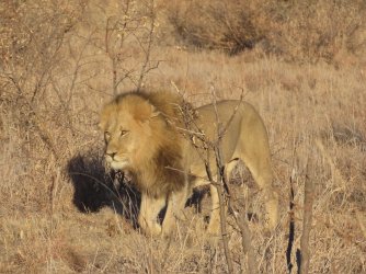 IMG_6397.jpeg IMG_6397.jpeg