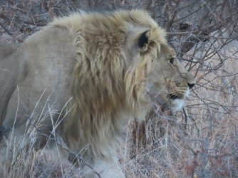 IMG_6408.jpeg IMG_6408.jpeg