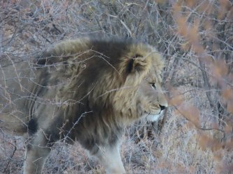 IMG_6409.jpeg IMG_6409.jpeg