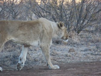 IMG_6412.jpeg IMG_6412.jpeg