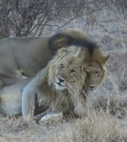 IMG_6415.jpeg IMG_6415.jpeg