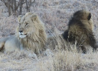 IMG_6419.jpeg IMG_6419.jpeg