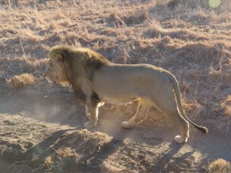 IMG_6431.jpeg IMG_6431.jpeg